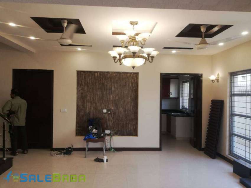 6 Bds  5 Ba  10 Marla 10 Marla House For Rent DHA Phase 5, Lahore, Punjab