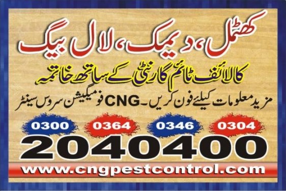 CnG Fumigation  Pest Control Karachi