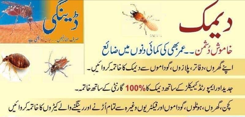 CnG Fumigation  Pest Control Karachi