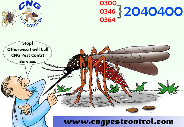 CnG Fumigation  Pest Control Karachi