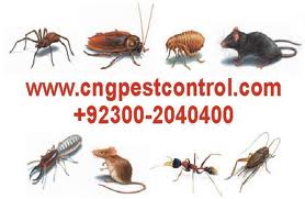 CnG Fumigation  Pest Control Karachi