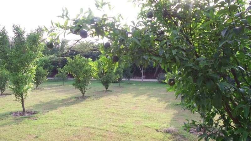 16 Kanal Farm House Is Available For Sale On Barki Road Lahore