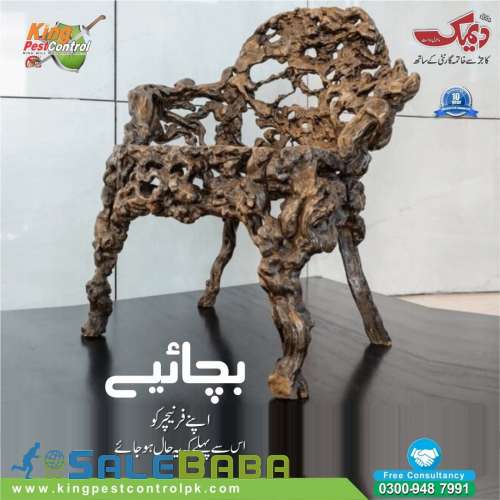 Termite (Deemak) control fumigation services in Lahore