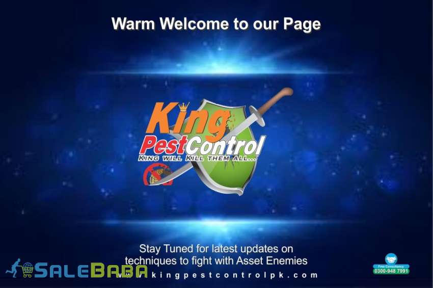 Termite (Deemak) control fumigation services in Lahore