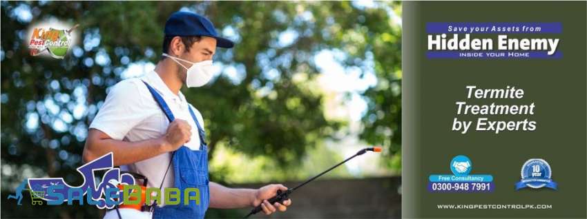 Termite (Deemak) control fumigation services in Lahore