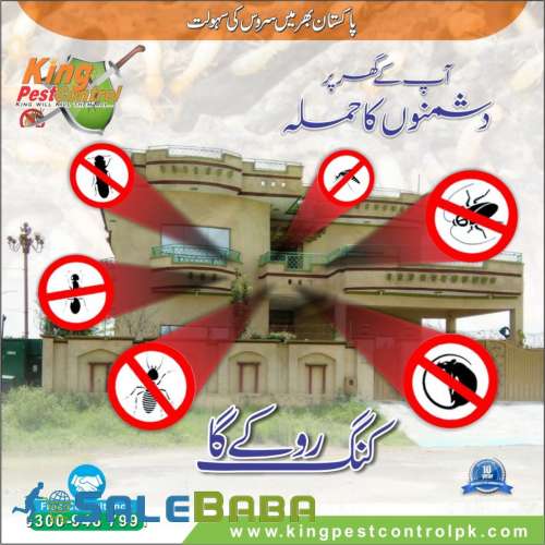 Termite (Deemak) control fumigation services in Lahore