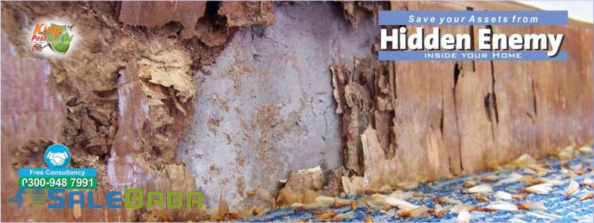 Termite (Deemak) control fumigation services in Lahore