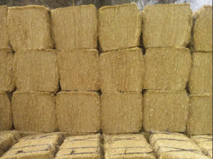 Rice Husk Straw in Bundle for sale available in Rawalpindi