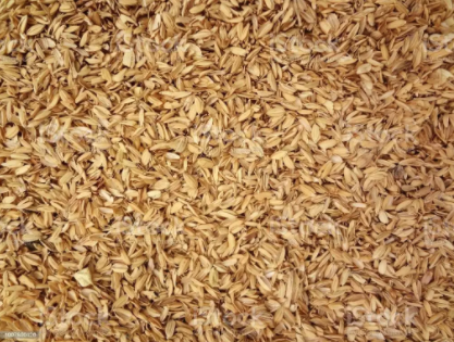 Rice Husk Straw in Bundle for sale available in Rawalpindi