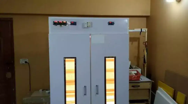 Incubator Semi Automatic Machine 100 to 1000 Eggs Capacity for sale in Okara