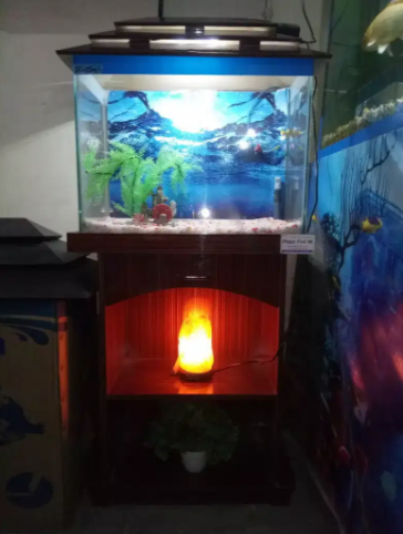 Happy Fish & Aquariums all type of fancy fish available
