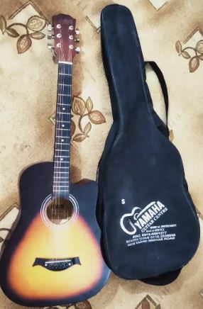 Acoustics Guitar.