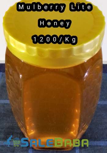 Pure Forest Honey  100