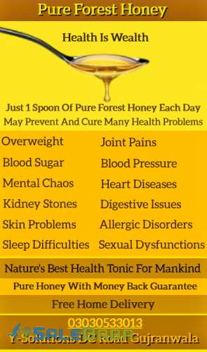 Pure Forest Honey  100