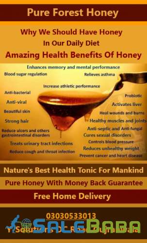 Pure Forest Honey  100