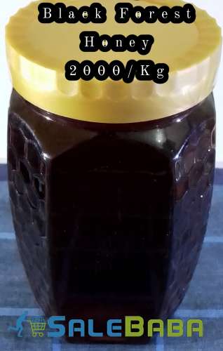 Pure Forest Honey  100