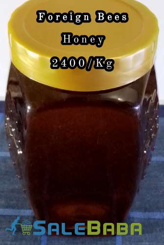 Pure Forest Honey  100