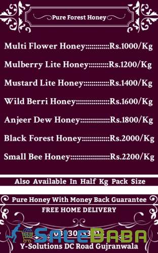 Pure Forest Honey  100