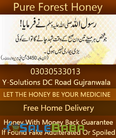 Pure Forest Honey  100