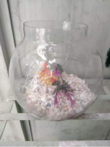 Small fish aquarium