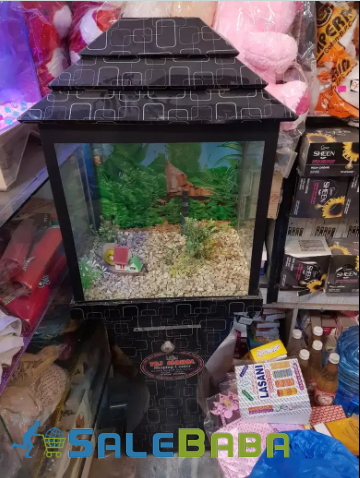 Fish aquarium available for sale in Pirmahal