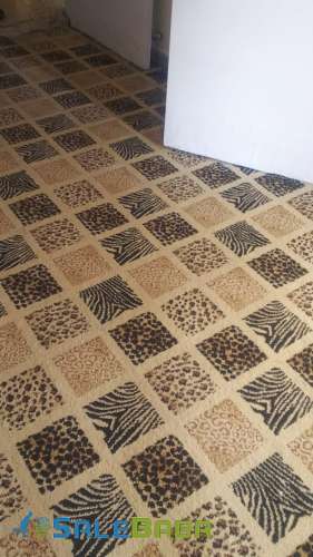 Carpet for sale ( Drawing Room)