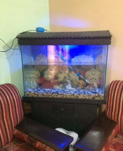 Excellent aquarium 3.5*1