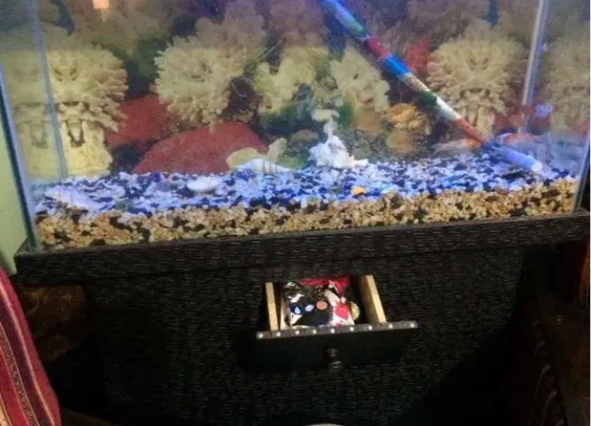 Excellent aquarium 3.5*1