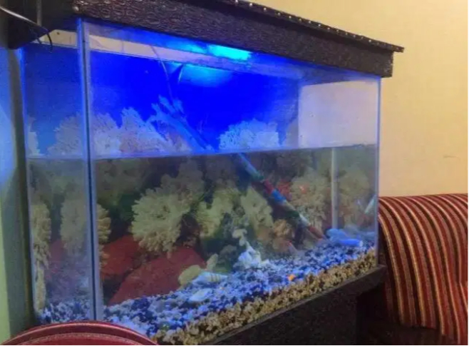 Excellent aquarium 3.5*1