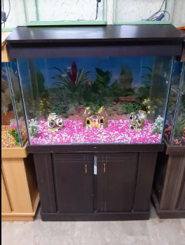 Mindblowing Aquariums at your doorstep by Fish On Wheels