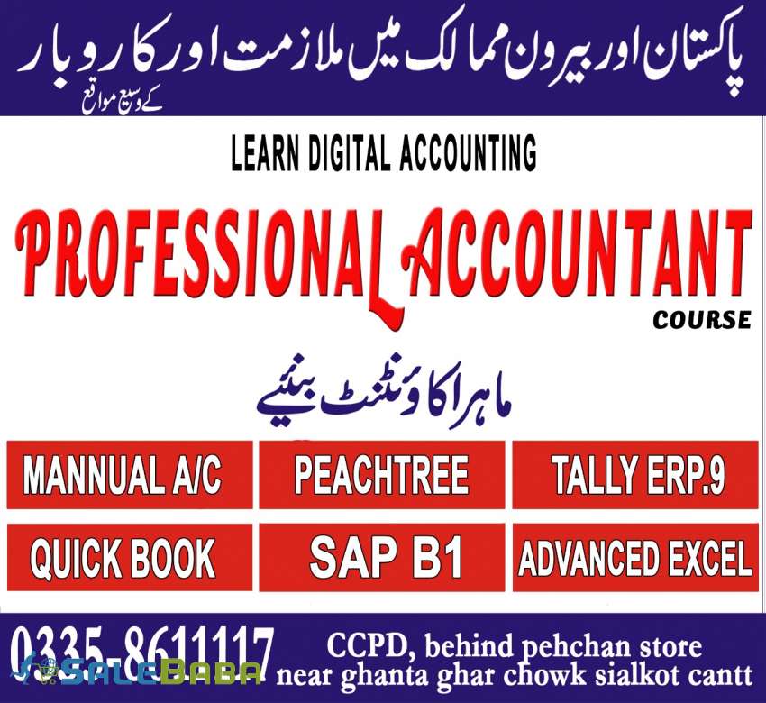 Professional Accountant course, professional accountant