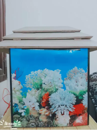 Fish aquarium