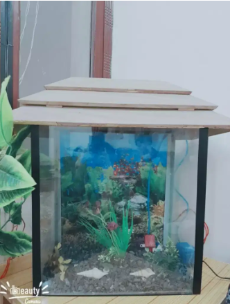 Fish aquarium