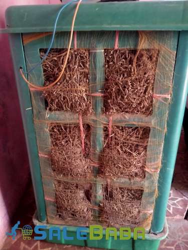 Dc Cooler Asia 12 Volts