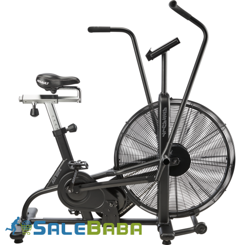 New ASSAULTBIKE CLASSIC