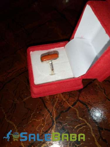 Coral (Monga Marjan) Whatsapp for Latest Price