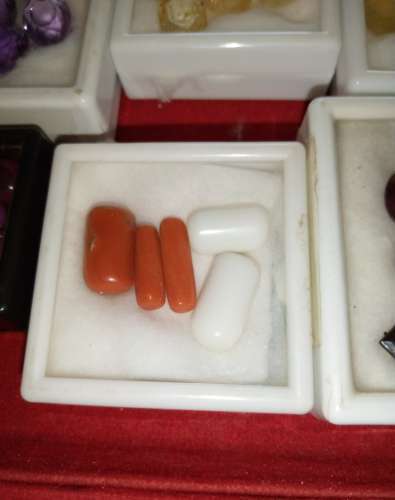 Coral - Marjan - Monga Silver Rings available   Whatsapp for Prices