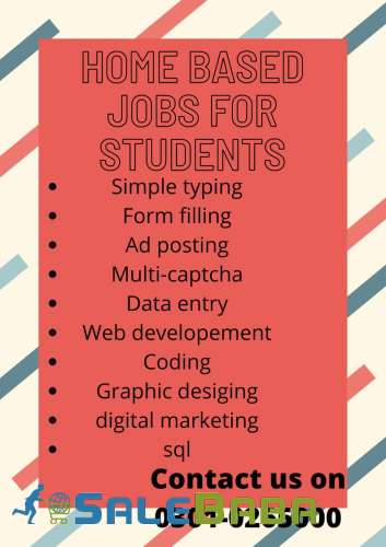 Student can now apply for authentic home  data entry job  daily pay