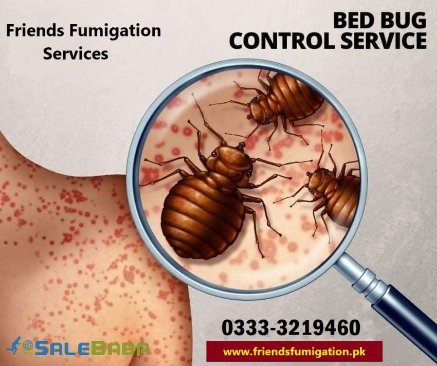 Bungalows Termite Proofing Treatment with 25 Years Guarantee