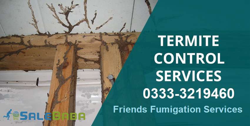 Bungalows Termite Proofing Treatment with 25 Years Guarantee