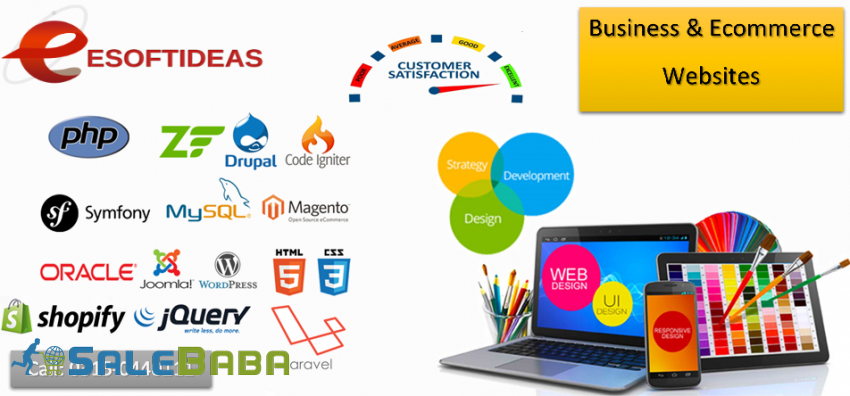Ecommerce  Business website