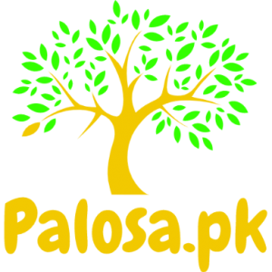 Palosa